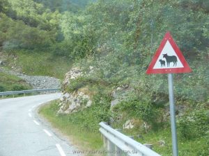 Die kleine steile Straße runter nach Undredal kennt besondere Verkehrszeichen, die…